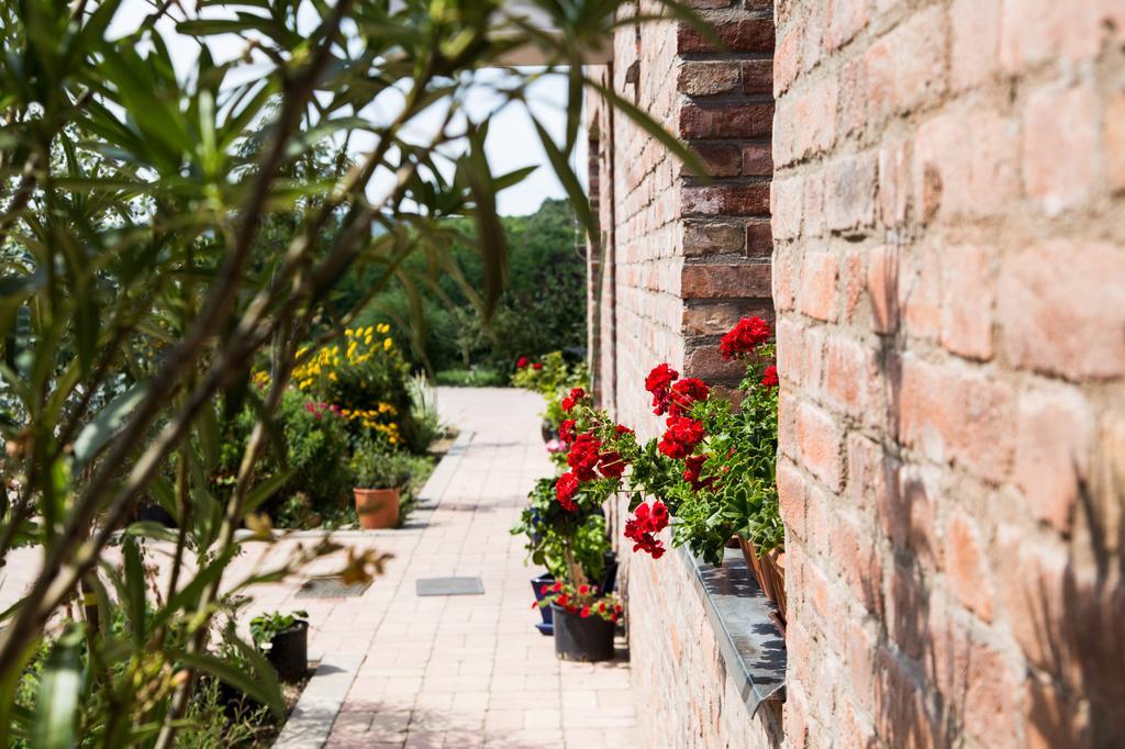 Oeregtoelgy Vendeghaz Villa Szar Luaran gambar