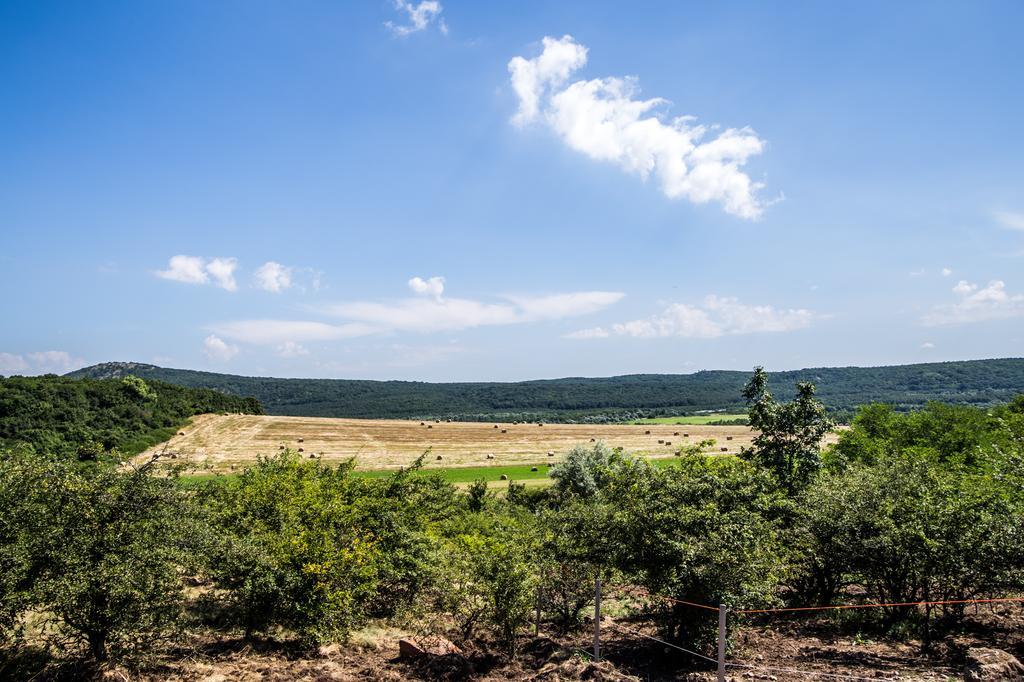 Oeregtoelgy Vendeghaz Villa Szar Luaran gambar