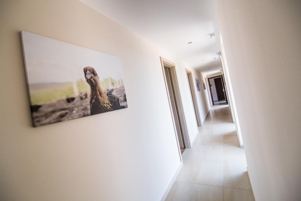 Oeregtoelgy Vendeghaz Villa Szar Luaran gambar